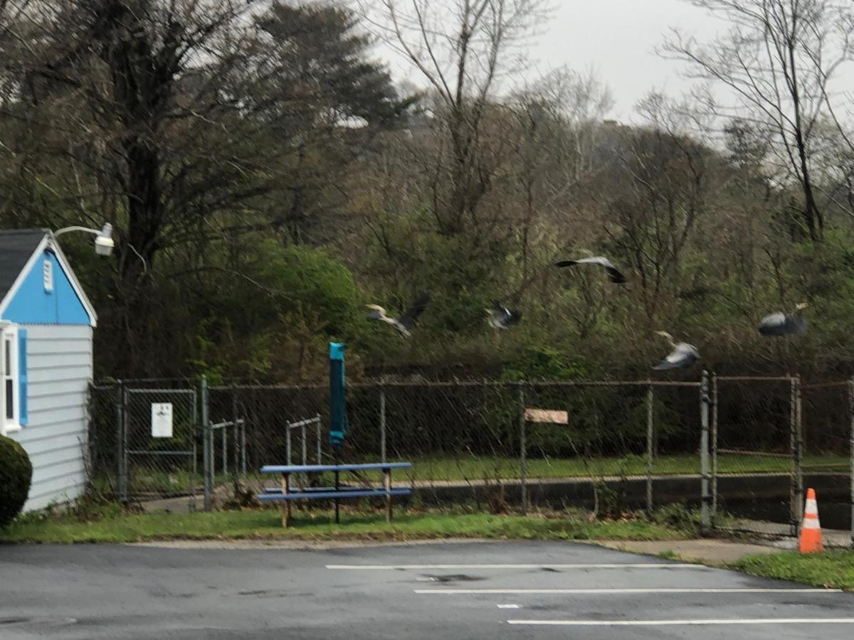 Herring Run Bourne Exterior foto